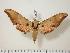  ( - BC-Hax0187)  @13 [ ] Copyright (2010) Unspecified Research Collection of Jean Haxaire