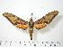  ( - BC-Hax0280)  @15 [ ] Copyright (2010) Unspecified Research Collection of Jean Haxaire