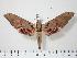  ( - BC-Hax0410)  @14 [ ] Copyright (2010) Unspecified Research Collection of Jean Haxaire
