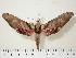  ( - BC-Hax0412)  @14 [ ] Copyright (2010) Unspecified Research Collection of Jean Haxaire
