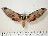  ( - BC-Hax0417)  @14 [ ] Copyright (2010) Unspecified Research Collection of Jean Haxaire