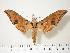  ( - BC-Hax0047)  @14 [ ] Copyright (2010) Unspecified Research Collection of Jean Haxaire