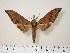  ( - BC-Hax0049)  @14 [ ] Copyright (2010) Unspecified Research Collection of Jean Haxaire