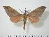  ( - BC-Hax0491)  @14 [ ] Copyright (2010) Unspecified Research Collection of Jean Haxaire