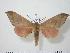  ( - BC-Hax0493)  @13 [ ] Copyright (2010) Unspecified Research Collection of Jean Haxaire