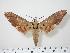  ( - BC-Hax0497)  @14 [ ] Copyright (2010) Unspecified Research Collection of Jean Haxaire