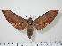  ( - BC-Hax0501)  @14 [ ] Copyright (2010) Unspecified Research Collection of Jean Haxaire