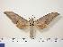  ( - BC-Hax0052)  @12 [ ] Copyright (2010) Unspecified Research Collection of Jean Haxaire
