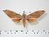  ( - BC-Hax0528)  @14 [ ] Copyright (2010) Unspecified Research Collection of Jean Haxaire