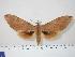  ( - BC-Hax0532)  @14 [ ] Copyright (2010) Unspecified Research Collection of Jean Haxaire