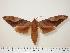  ( - BC-Hax0536)  @13 [ ] Copyright (2010) Unspecified Research Collection of Jean Haxaire