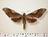  ( - BC-Hax0563)  @14 [ ] Copyright (2010) Unspecified Research Collection of Jean Haxaire