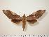  ( - BC-Hax0564)  @14 [ ] Copyright (2010) Unspecified Research Collection of Jean Haxaire