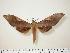  ( - BC-Hax0565)  @15 [ ] Copyright (2010) Unspecified Research Collection of Jean Haxaire