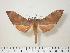  ( - BC-Hax0571)  @14 [ ] Copyright (2010) Unspecified Research Collection of Jean Haxaire