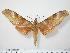  ( - BC-Hax0595)  @14 [ ] Copyright (2010) Unspecified Research Collection of Jean Haxaire