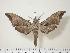  ( - BC-Hax0614)  @14 [ ] Copyright (2010) Unspecified Research Collection of Jean Haxaire