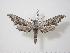  ( - BC-Hax0622)  @14 [ ] Copyright (2010) Unspecified Research Collection of Jean Haxaire