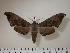  ( - BC-Hax0646)  @14 [ ] Copyright (2010) Unspecified Research Collection of Jean Haxaire