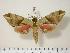  ( - BC-Hax0664)  @14 [ ] Copyright (2010) Unspecified Research Collection of Jean Haxaire