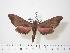  ( - BC-Hax0704)  @13 [ ] Copyright (2010) Unspecified Research Collection of Jean Haxaire