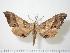  ( - BC-Hax0711)  @13 [ ] Copyright (2010) Unspecified Research Collection of Jean Haxaire