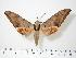  ( - BC-Hax0072)  @15 [ ] Copyright (2010) Unspecified Research Collection of Jean Haxaire