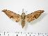 ( - BC-Hax0073)  @12 [ ] Copyright (2010) Unspecified Research Collection of Jean Haxaire
