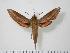  ( - BC-Hax0758)  @14 [ ] Copyright (2010) Unspecified Research Collection of Jean Haxaire