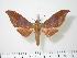  ( - BC-Hax0079)  @14 [ ] Copyright (2010) Unspecified Research Collection of Jean Haxaire