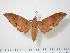  ( - BC-Hax0082)  @14 [ ] Copyright (2010) Unspecified Research Collection of Jean Haxaire
