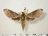  ( - BC-Hax0840)  @14 [ ] Copyright (2010) Unspecified Research Collection of Jean Haxaire