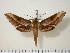  ( - BC-Hax0878)  @14 [ ] Copyright (2010) Unspecified Research Collection of Jean Haxaire