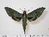  ( - BC-Hax0917)  @14 [ ] Copyright (2010) Unspecified Research Collection of Jean Haxaire