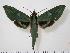  ( - BC-Hax0918)  @14 [ ] Copyright (2010) Unspecified Research Collection of Jean Haxaire