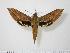  ( - BC-Hax0968)  @12 [ ] Copyright (2010) Unspecified Research Collection of Jean Haxaire