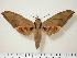  ( - BC-Hax0097)  @14 [ ] Copyright (2010) Unspecified Research Collection of Jean Haxaire
