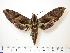  ( - BC-Hax1072)  @14 [ ] Copyright (2010) Unspecified Research Collection of Jean Haxaire