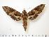  ( - BC-Hax1073)  @14 [ ] Copyright (2010) Unspecified Research Collection of Jean Haxaire