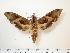  ( - BC-Hax1075)  @14 [ ] Copyright (2010) Unspecified Research Collection of Jean Haxaire
