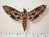  ( - BC-Hax1104)  @14 [ ] Copyright (2010) Unspecified Research Collection of Jean Haxaire