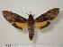  ( - BC-Hax1222)  @14 [ ] Copyright (2010) Unspecified Research Collection of Jean Haxaire