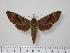  ( - BC-Hax1439)  @14 [ ] Copyright (2010) Unspecified Research Collection of Jean Haxaire