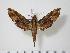  ( - BC-Hax1465)  @14 [ ] Copyright (2010) Unspecified Research Collection of Jean Haxaire