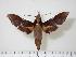  ( - BC-Hax1991)  @13 [ ] Copyright (2010) Unspecified Research Collection of Jean Haxaire