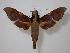  ( - BC-Hax1992)  @13 [ ] Copyright (2010) Unspecified Research Collection of Jean Haxaire