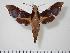  ( - BC-Hax1994)  @14 [ ] Copyright (2010) Unspecified Research Collection of Jean Haxaire