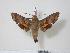  ( - BC-Hax2139)  @14 [ ] Copyright (2010) Unspecified Research Collection of Jean Haxaire