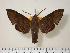  ( - BC-Hax2253)  @13 [ ] Copyright (2010) Unspecified Research Collection of Jean Haxaire