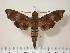  ( - BC-Hax2265)  @14 [ ] Copyright (2010) Unspecified Research Collection of Jean Haxaire